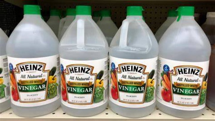 What Does Vinegar Do To Ants??